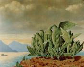 雷内马格里特 - 宝岛